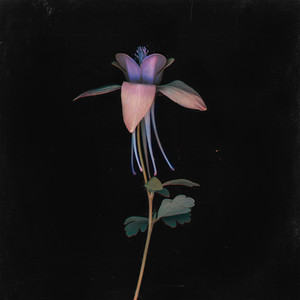 每日大赛官方入口
