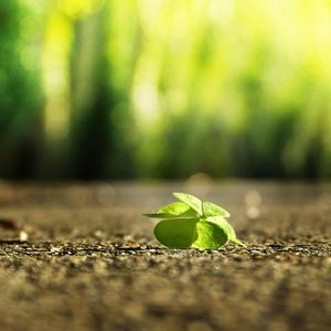 每日大赛官方入口
