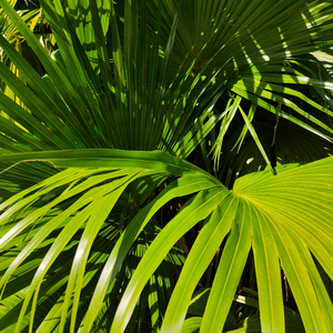 每日大赛官方入口
